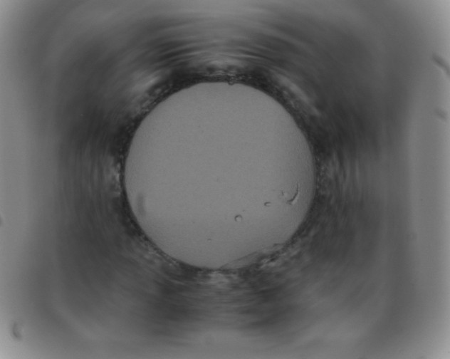 X0000097481013200803141930