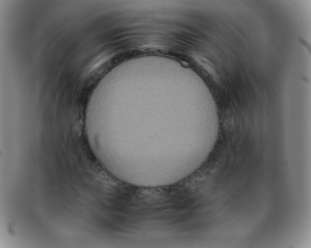 X0000097481015200803141930