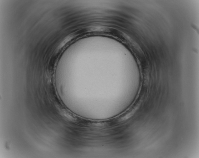 X0000097481017200803141930