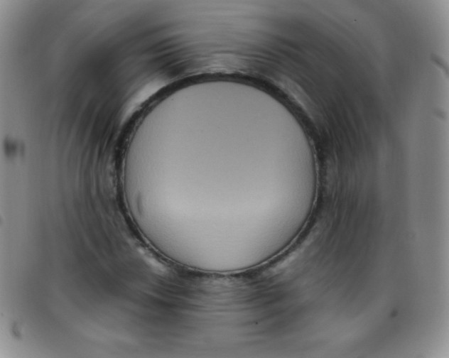 X0000097481018200803141930