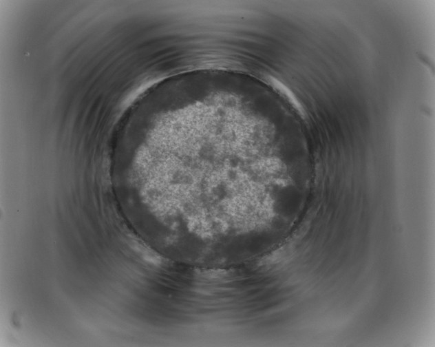 X0000097481019200803141930