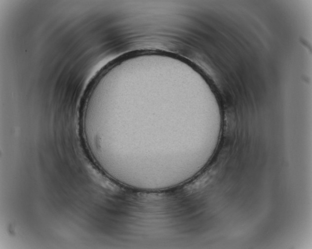 X0000097481020200803141930