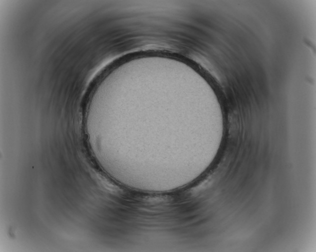 X0000097481021200803141930