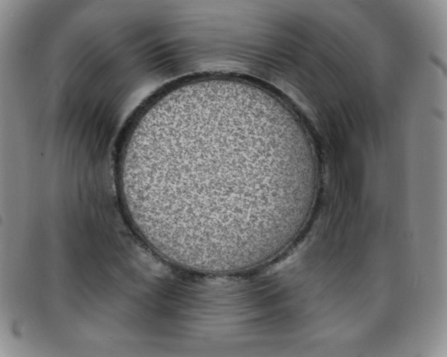 X0000097481022200803141930