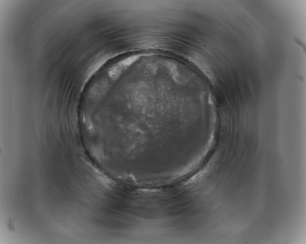 X0000097481023200803141930