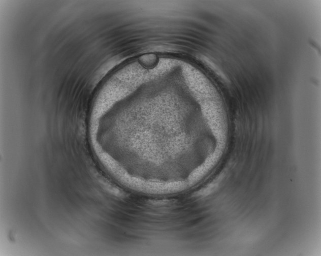 X0000097481025200803141930