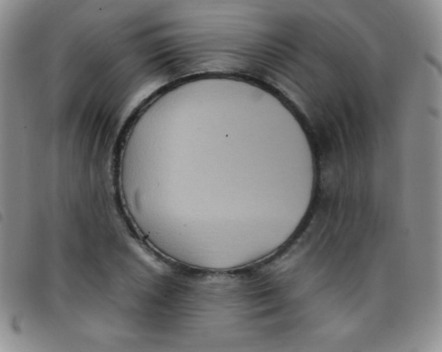 X0000097481026200803141930