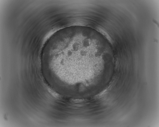 X0000097481027200803141930