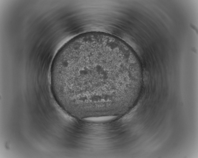 X0000097481028200803141930