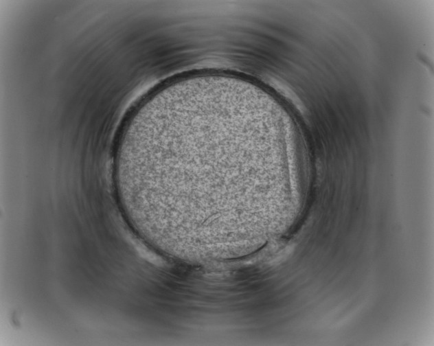 X0000097481029200803141930