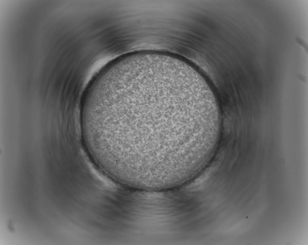 X0000097481030200803141930