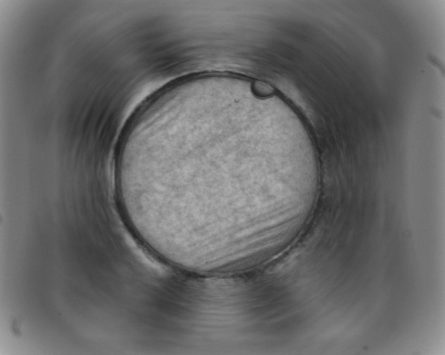 X0000097481032200803141930