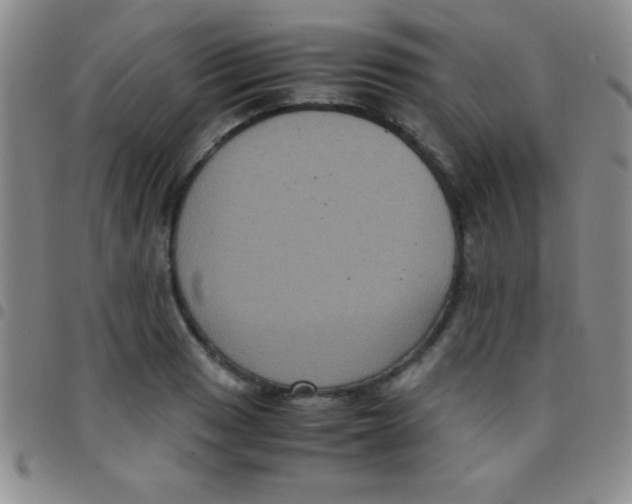 X0000097481033200803141930