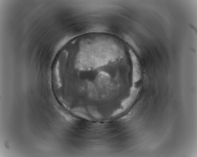 X0000097481035200803141930