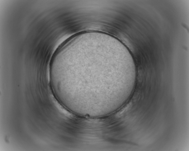 X0000097481036200803141930