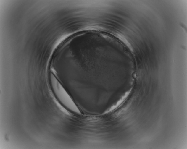 X0000097481037200803141930