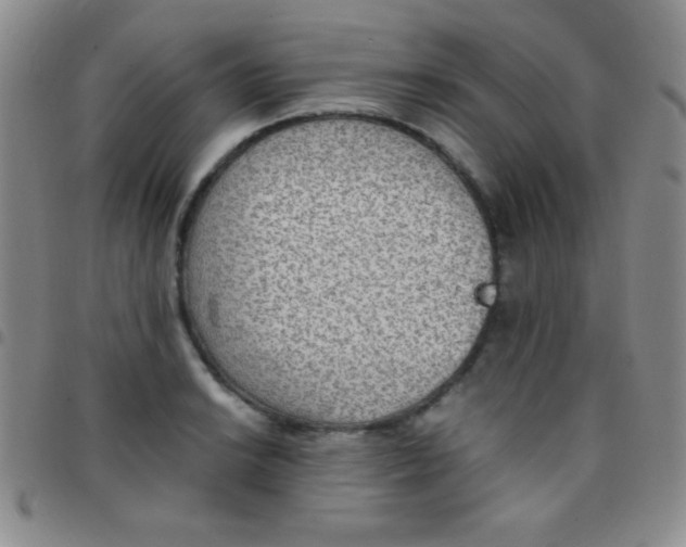 X0000097481038200803141930