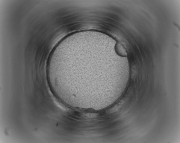 X0000097481039200803141930