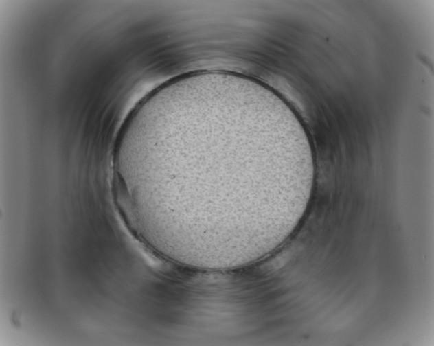 X0000097481040200803141930