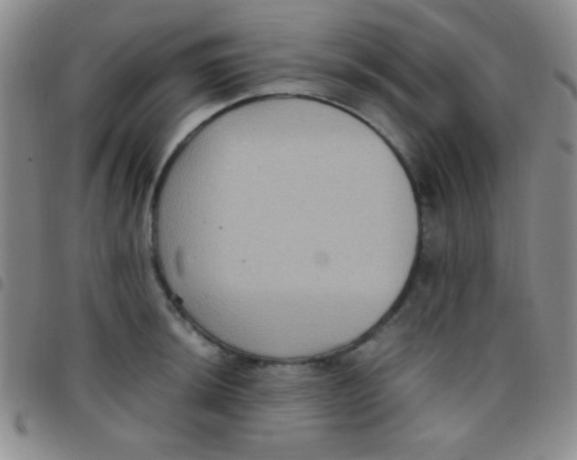 X0000097481044200803141930