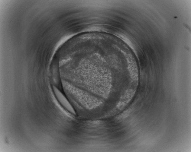 X0000097481045200803141930