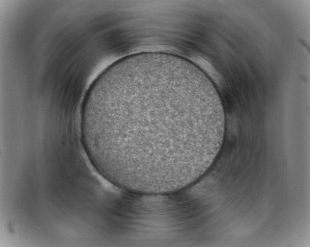 X0000097481046200803141930