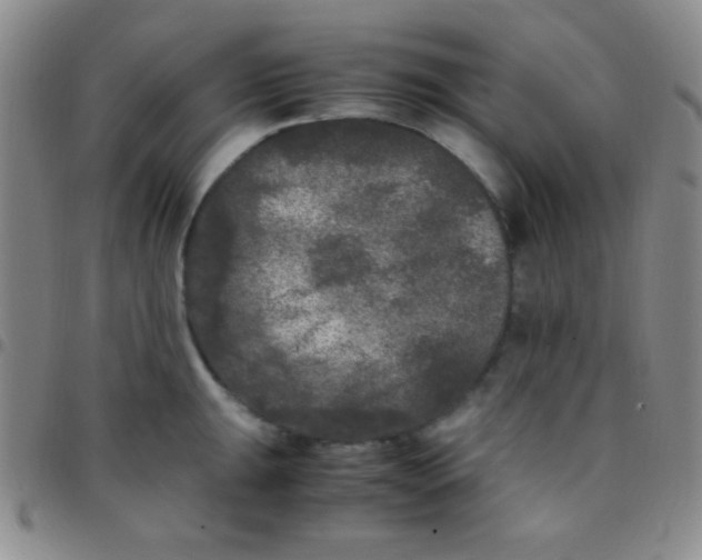 X0000097481047200803141930