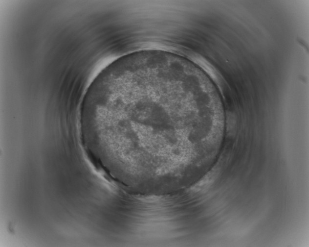 X0000097481048200803141930