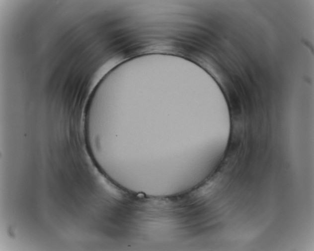 X0000097481050200803141930