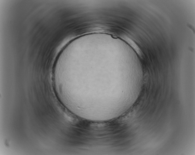 X0000097481051200803141930