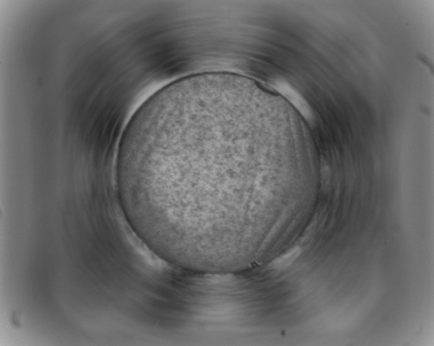 X0000097481052200803141930