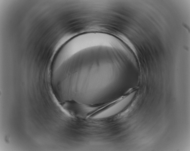 X0000097481053200803141930