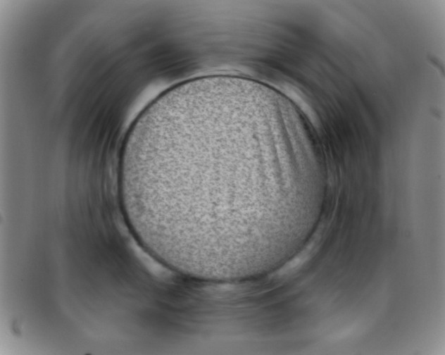 X0000097481054200803141930