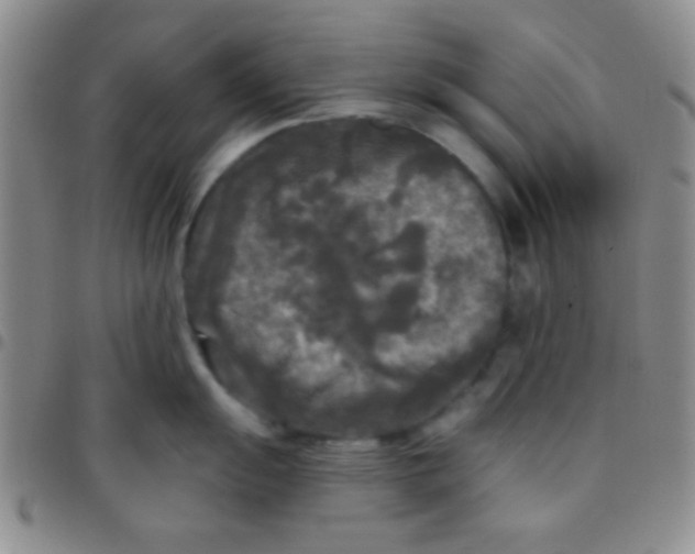 X0000097481055200803141930