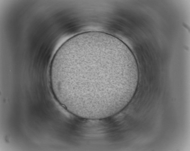 X0000097481056200803141930