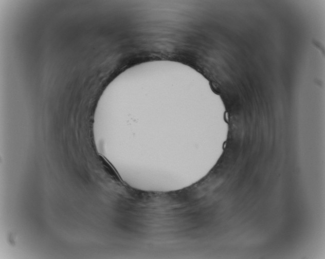 X0000097481057200803141930