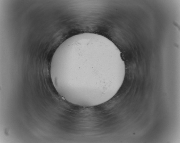 X0000097481058200803141930