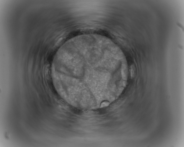 X0000097481059200803141930