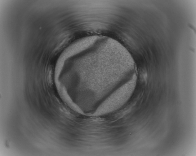 X0000097481060200803141930