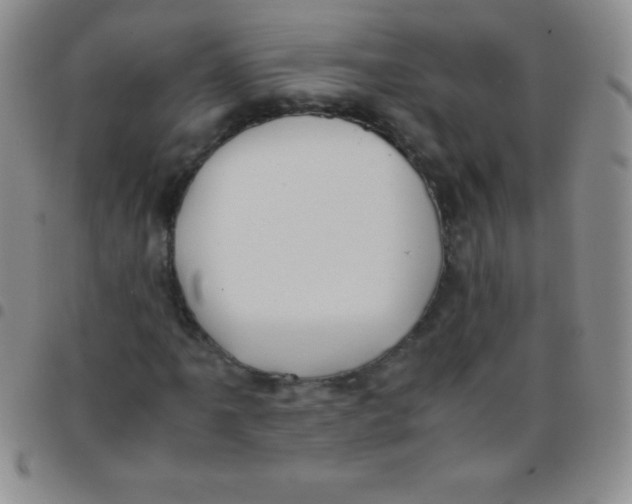 X0000097481061200803141930