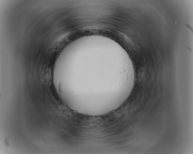 X0000097481062200803141930