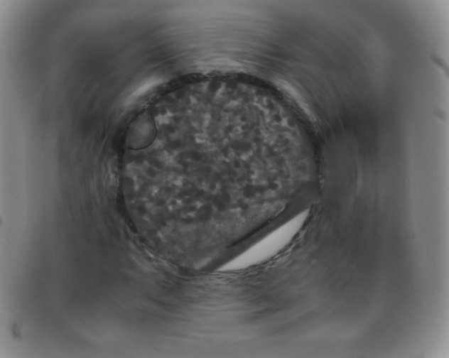 X0000097481063200803141930