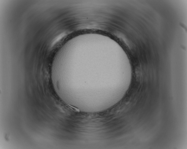 X0000097481064200803141930