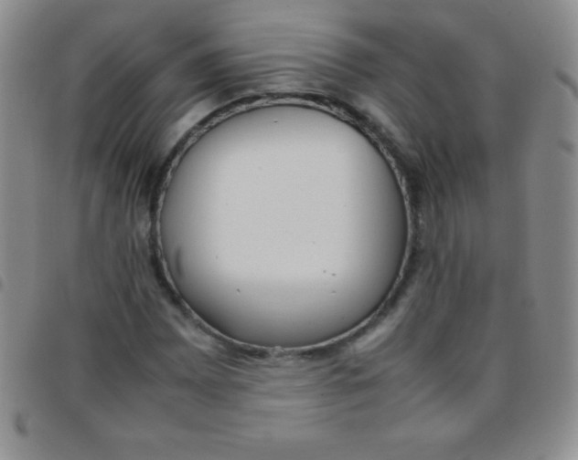 X0000097481065200803141930