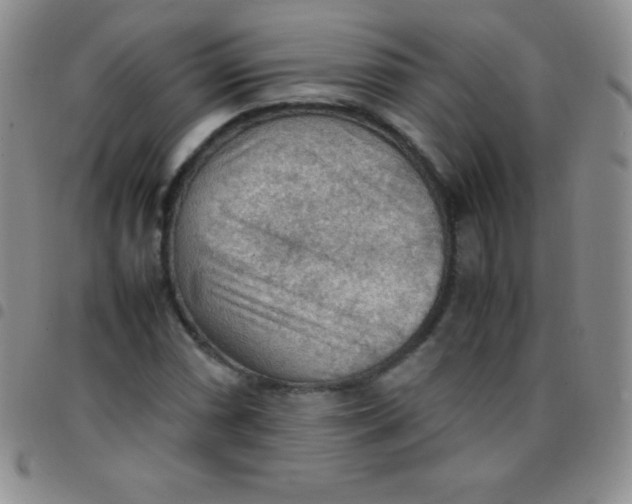 X0000097481066200803141930