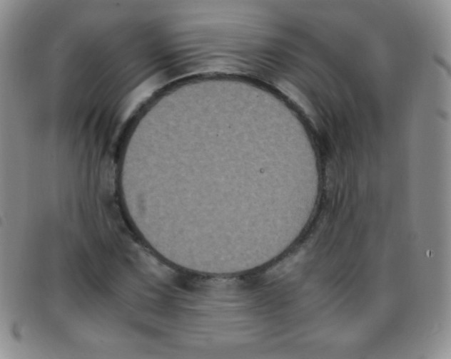 X0000097481067200803141930