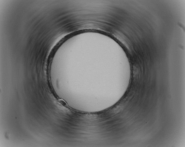 X0000097481068200803141930