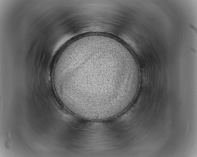 X0000097481070200803141930