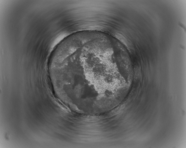 X0000097481071200803141930