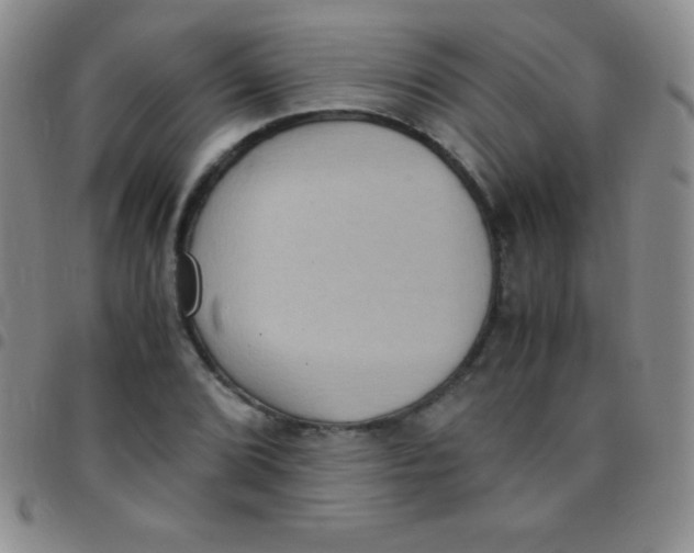 X0000097481072200803141930